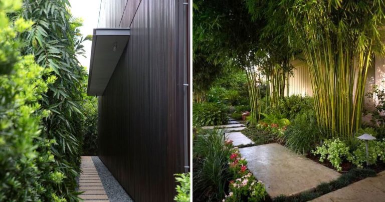Inspiring Side Yard Ideas With Tropical Plants From Pinterest