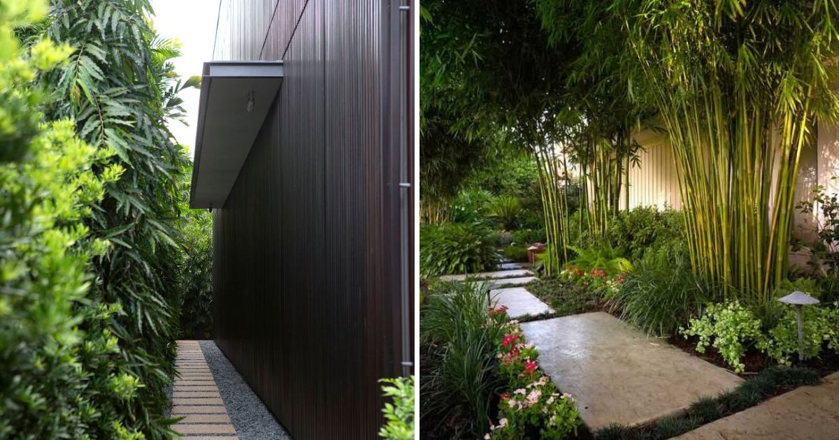 Inspiring Side Yard Ideas With Tropical Plants From Pinterest