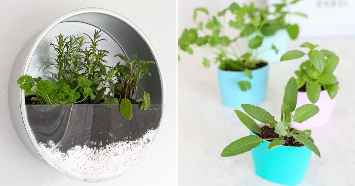 15 Lovely and Creative DIY Indoor Herb Garden Ideas