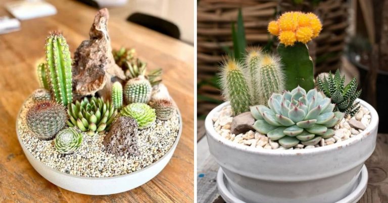 29 Easiest DIY Succulent Planters