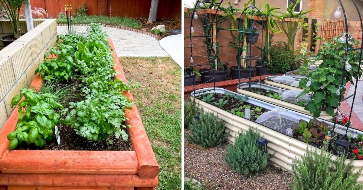 Stunning Raised Garden Beds To Enhance Your Landscaping