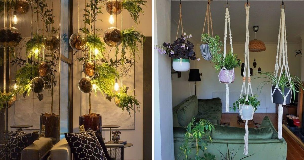 23 Clever Ideas To Display Your Houseplants