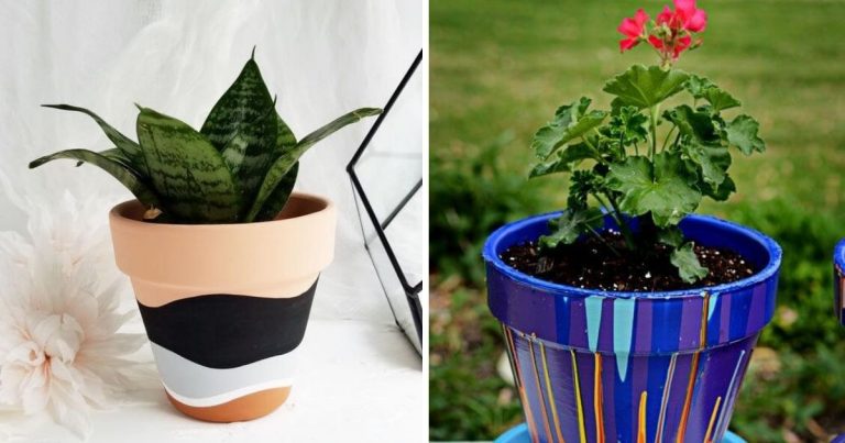 23 Easy Ways To Re-Makeover Your Plant Pots Look So Wow