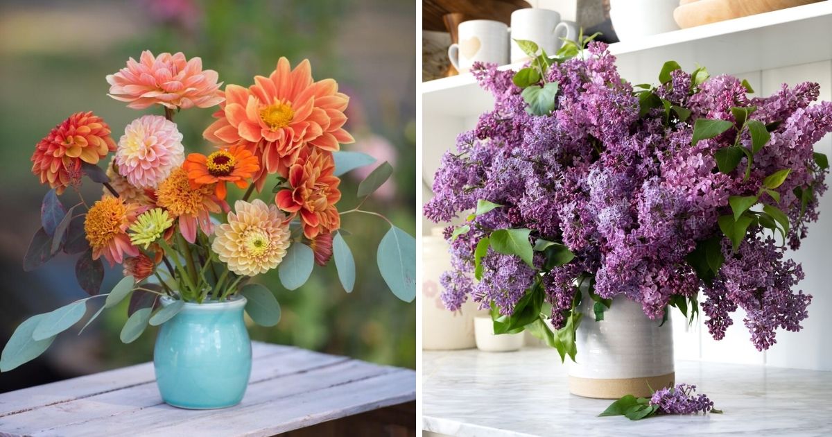 Stunning Cut Flowers That You Can Propagate From Your Bouquet For Free