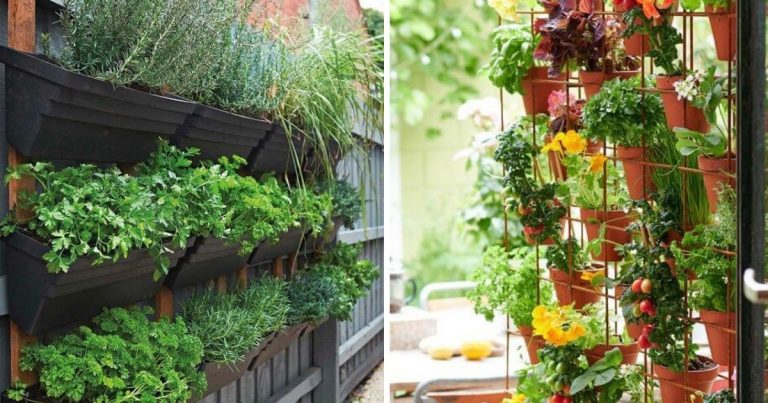 27 DIY Porch Herb Garden Ideas
