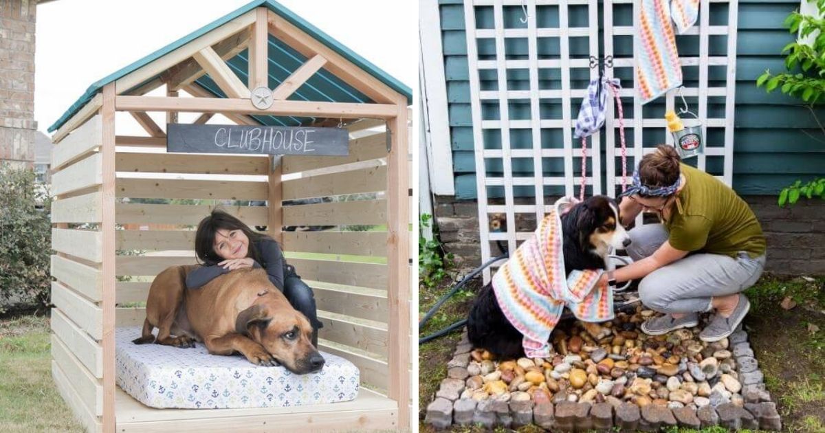 17 Dog-Friendly Backyard Ideas