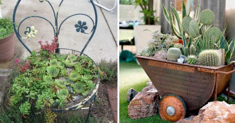 26 Upcycling Outdoor Succulent Planter Projects