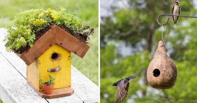 25 Birdhouse Ideas To Attract Bird Buddies To Your Garden