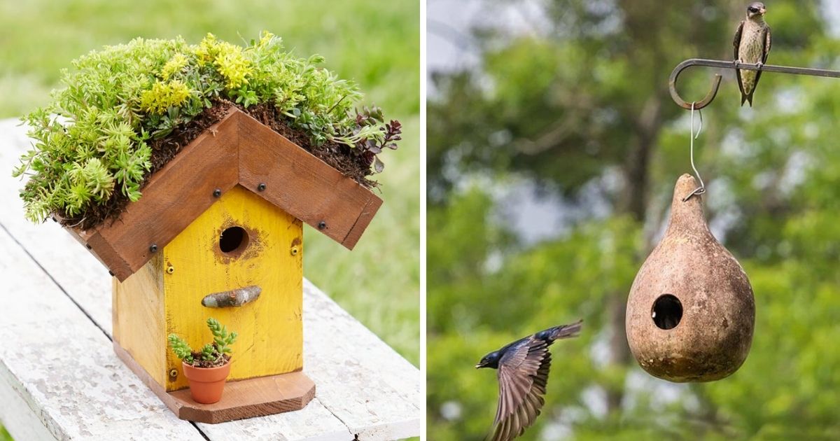 25 Birdhouse Ideas To Attract Bird Buddies To Your Garden