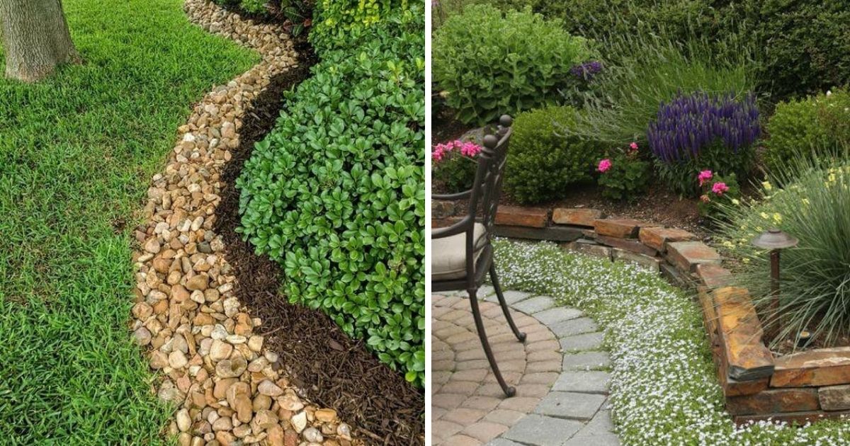 Garden Borders With Unused Things Around The Home