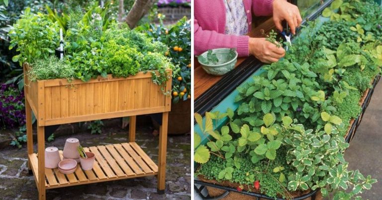 29 DIY Outdoor Herb Planters
