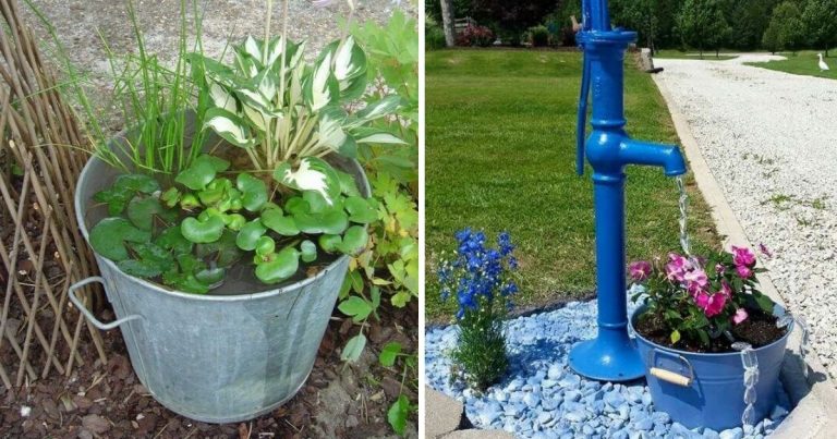 26 Brilliant Ways To Reuse Old Buckets In Your Outdoor Space