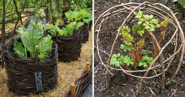 22 Cheap And Brilliant Garden Projects Using Twigs