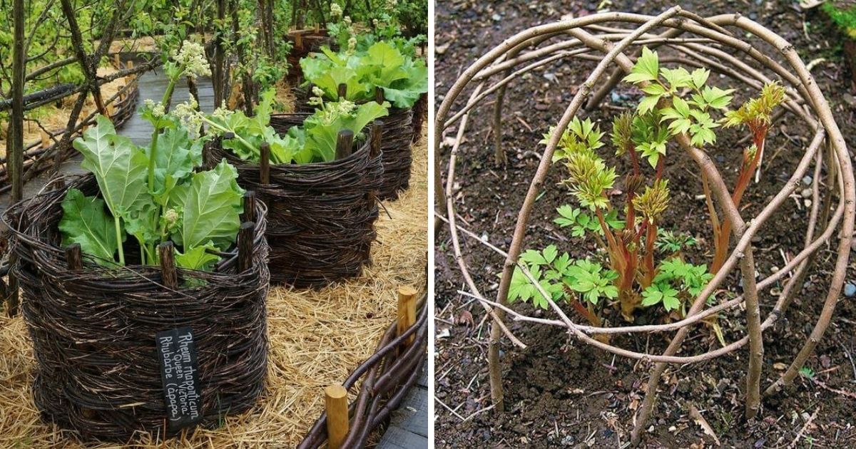 22 Cheap And Brilliant Garden Projects Using Twigs