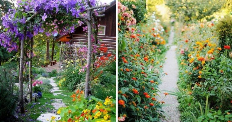 52 Fairy Garden Path Inspirations
