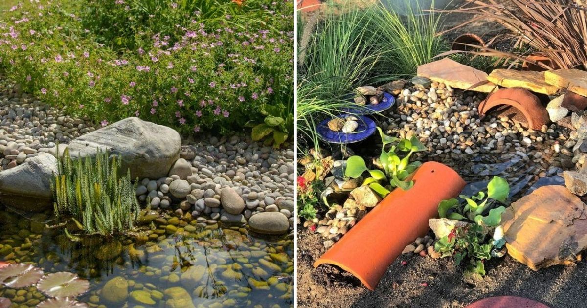 25 Stunning Wildlife Garden Ideas