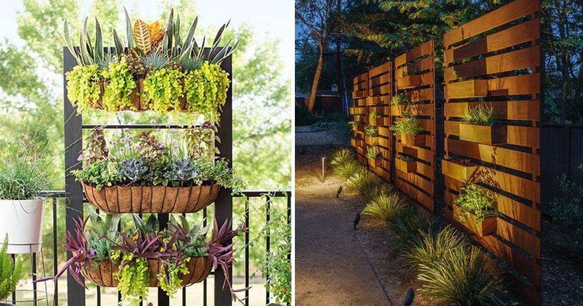 39 Vertical Garden Ideas Used As Backyard Privacy Screens