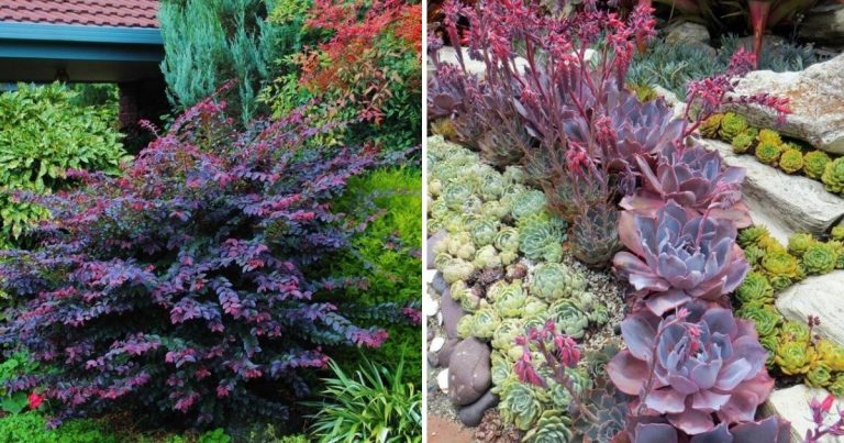 41 Stunning Yard Landscaping Ideas With Purple Plants
