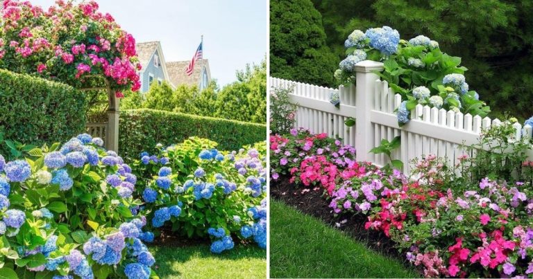 42 Dreamy Hydrangea Gardens to Liven Up Your Outdoor Spaces