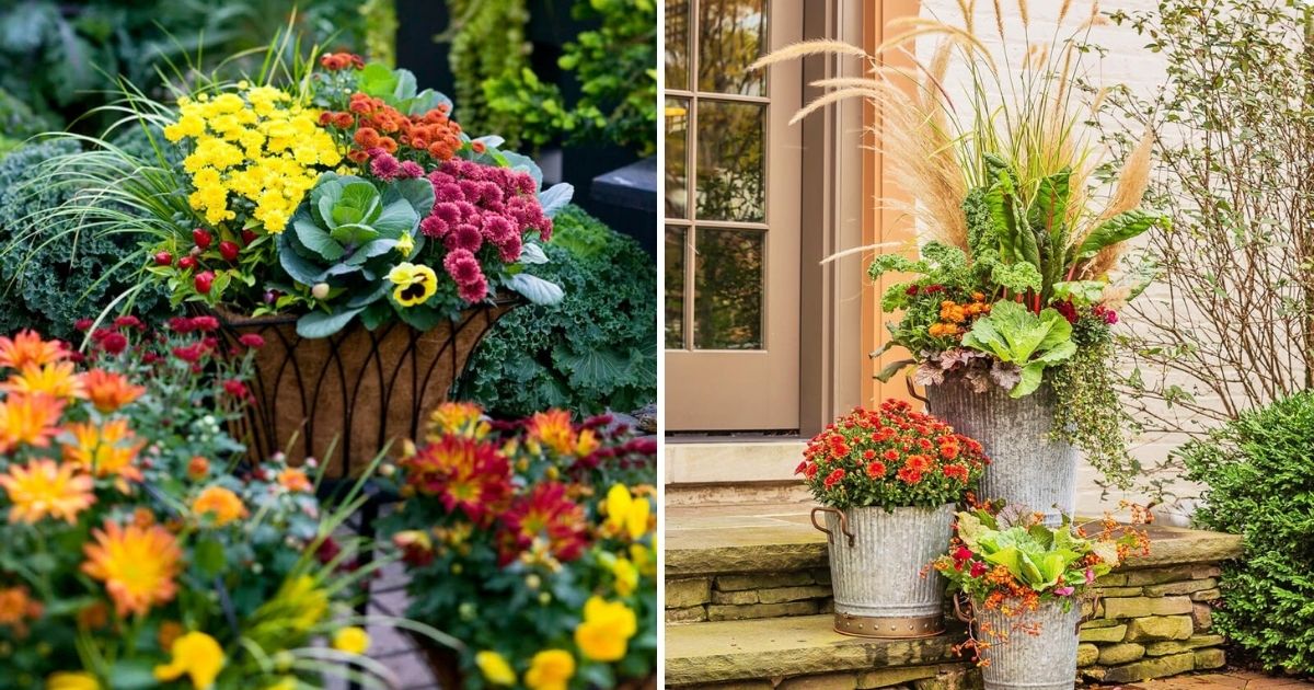 16 Gorgeous Ideas To Have Mums In Your Garden