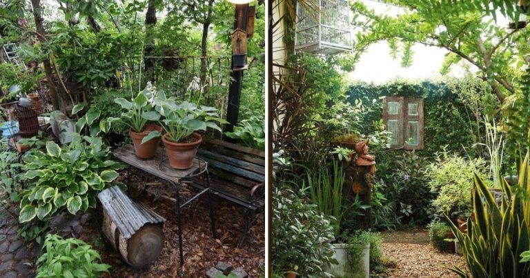 38 Stunning Ideas To Turn Your Boring Garden Into A Cool Tropical Garden