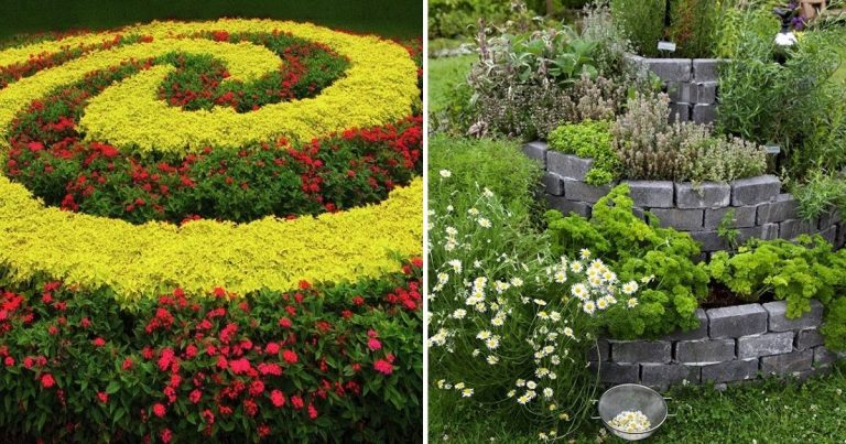 15 Spiral Gardens To Make Fresh Greens At Your Fingertips