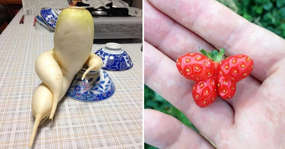 12 Extraordinarily Shaped Vegetables To Inspire Your Garden