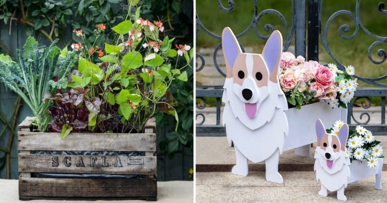 25 Inspiring Pot Ideas For Green Spaces