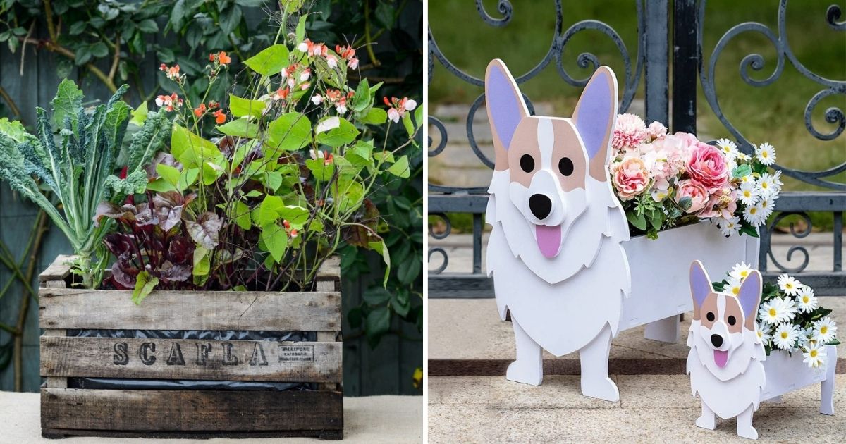 25 Inspiring Pot Ideas For Green Spaces