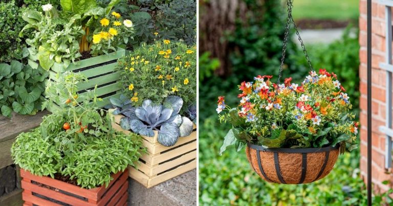 20 Maximizing Yield In Limited Space Garden Ideas