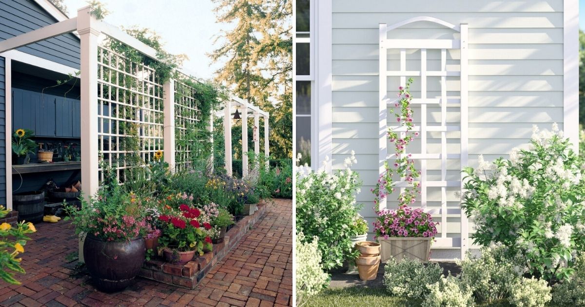 The Secrets Of A Picturesque Trellis Landscape Revealed