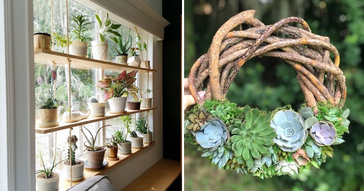 Rustic Charm Meets Greenery With 17 Wooden Succulent Plant Ideas