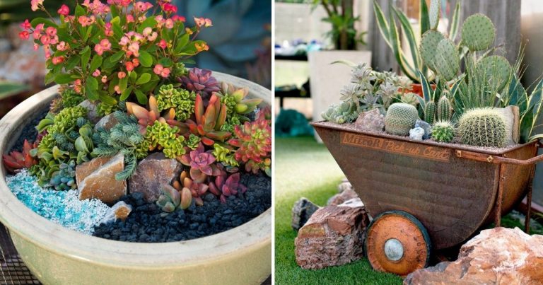 20 Great Ways To Decorate Succulents Indoor Garden