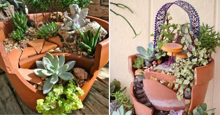15 Ideas To Transform Broken Pots Into Succulent Garden Castles