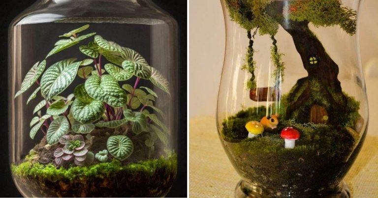 17 Cant-Miss Indoor Moss Ideas To Upgrade Your Home Decor