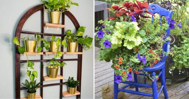 30 Terrific DIY Plant Stand Ideas That Are Swoon-Worthy