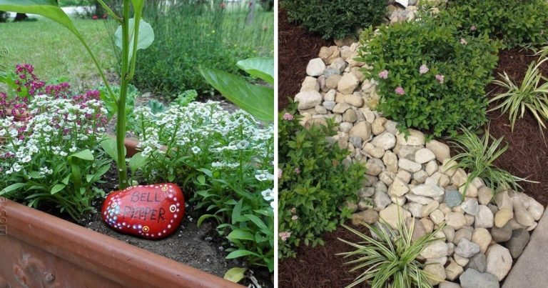 25 Mind-Blowing Rock Ideas For Your Next Outdoor Projects