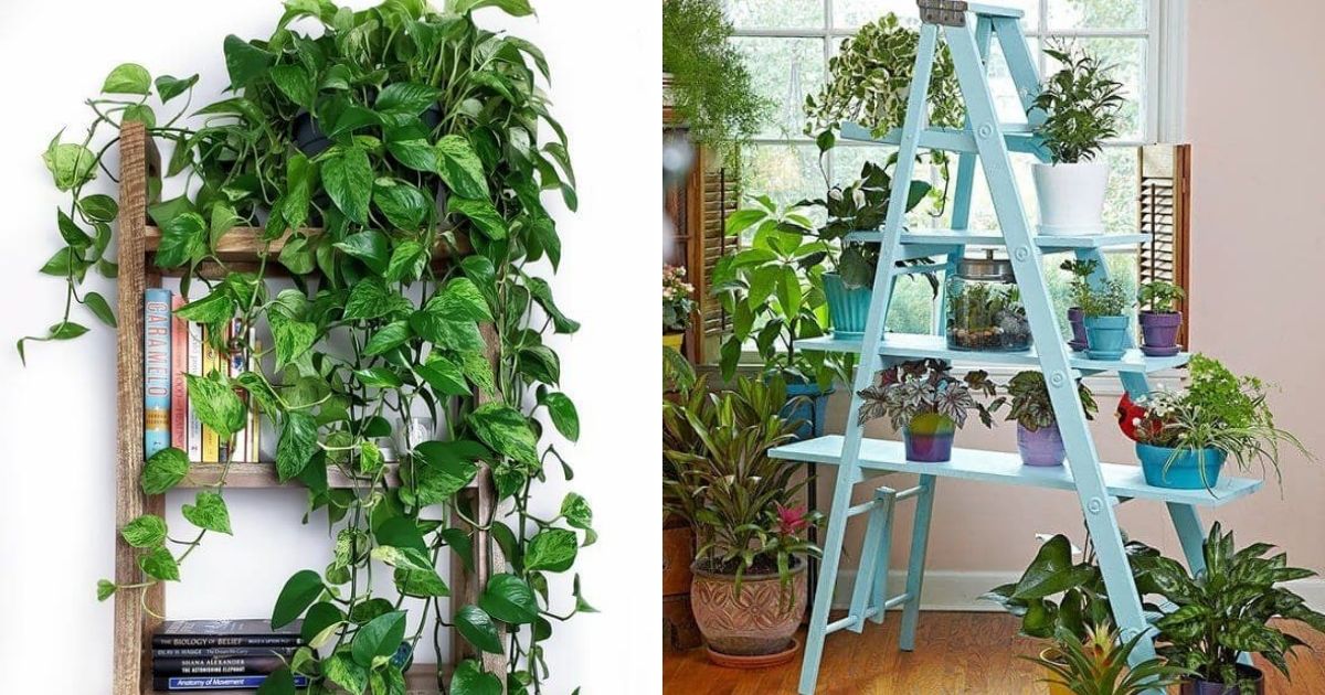 17 Old Ladder Ideas To Display Houseplants