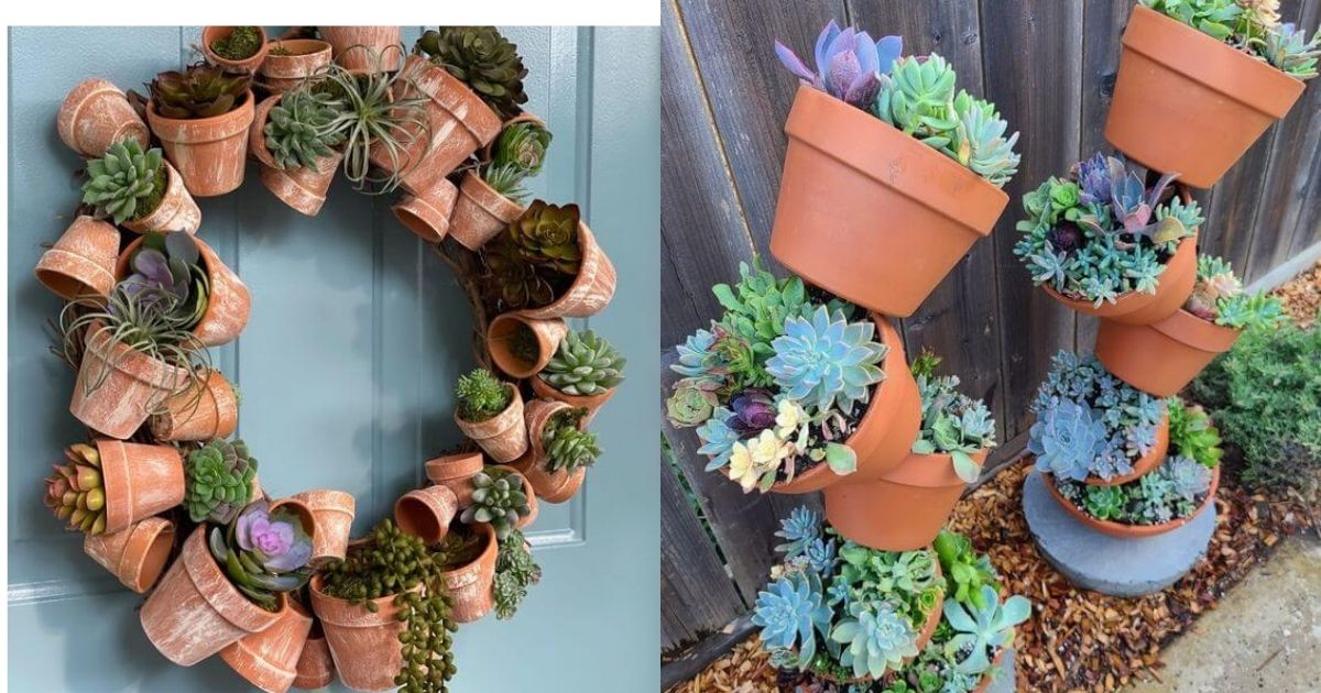 22 Outdoor Succulent Display Ideas