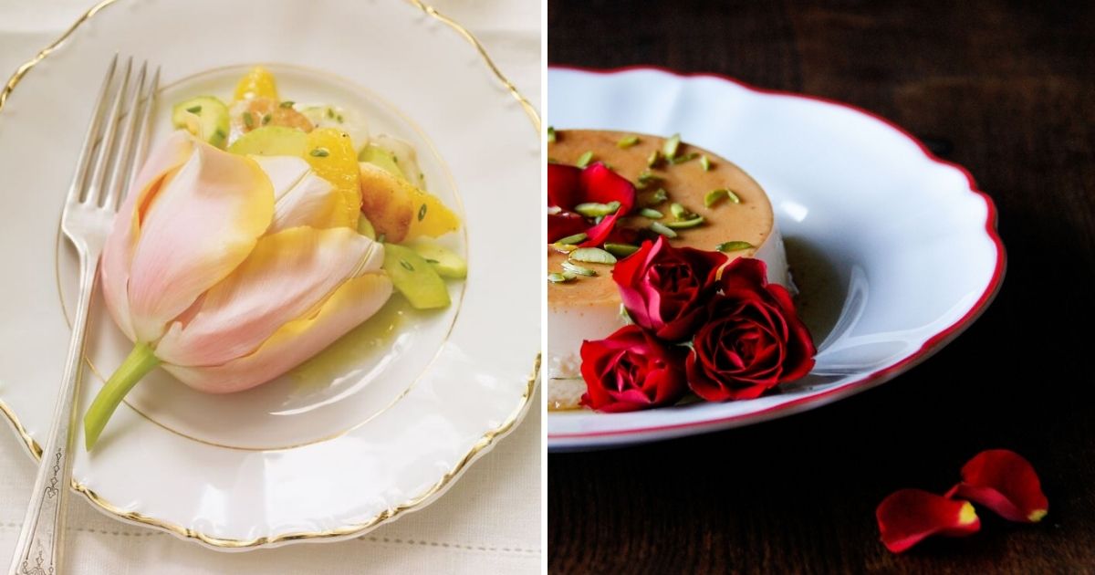 15 Popular Flowers That You Can Use To Cook