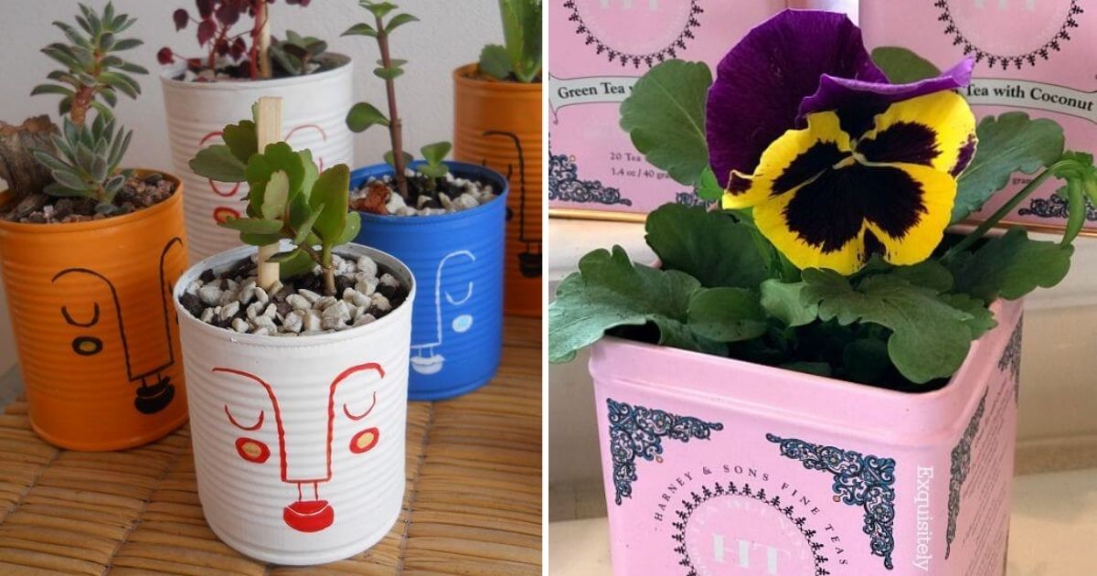 30 Recycled Indoor Planter Ideas