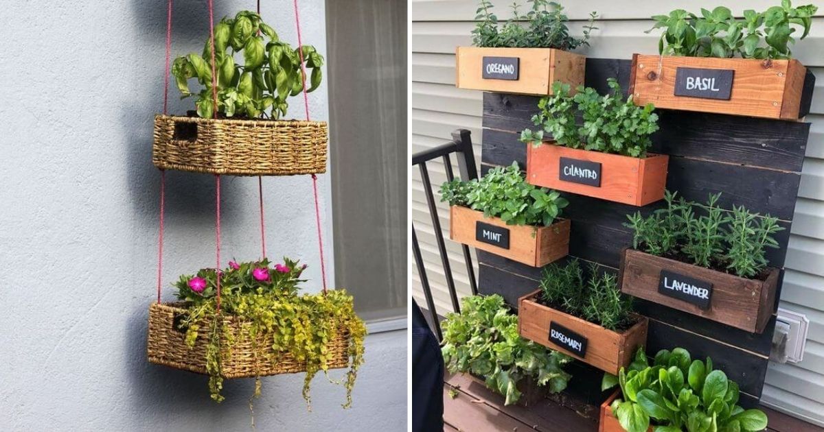 25 Small Vertical Herb Gardens For Indoors And Outdoors