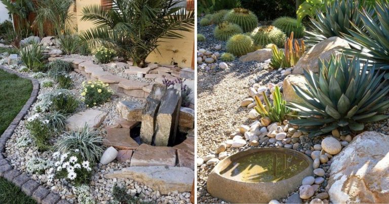 25 Stunning Front Yard Desert Landscaping Ideas