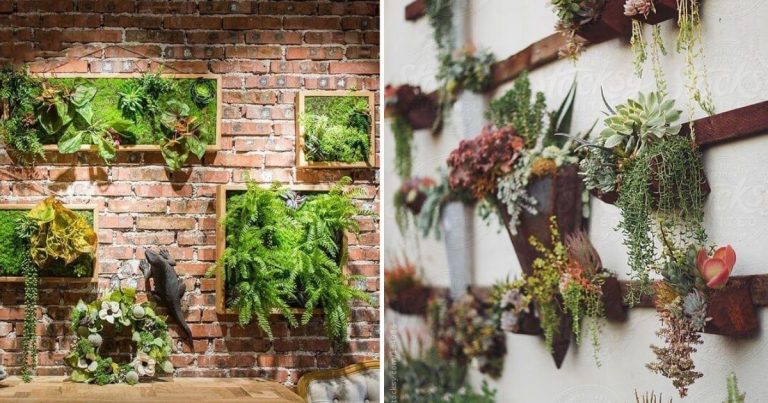 21 Stunning Outdoor Succulent Wall Garden Ideas