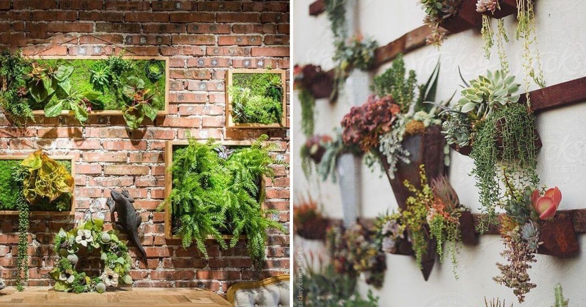 21 Stunning Outdoor Succulent Wall Garden Ideas