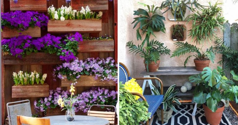 21 Stunning Patio Wall Ideas With Plants