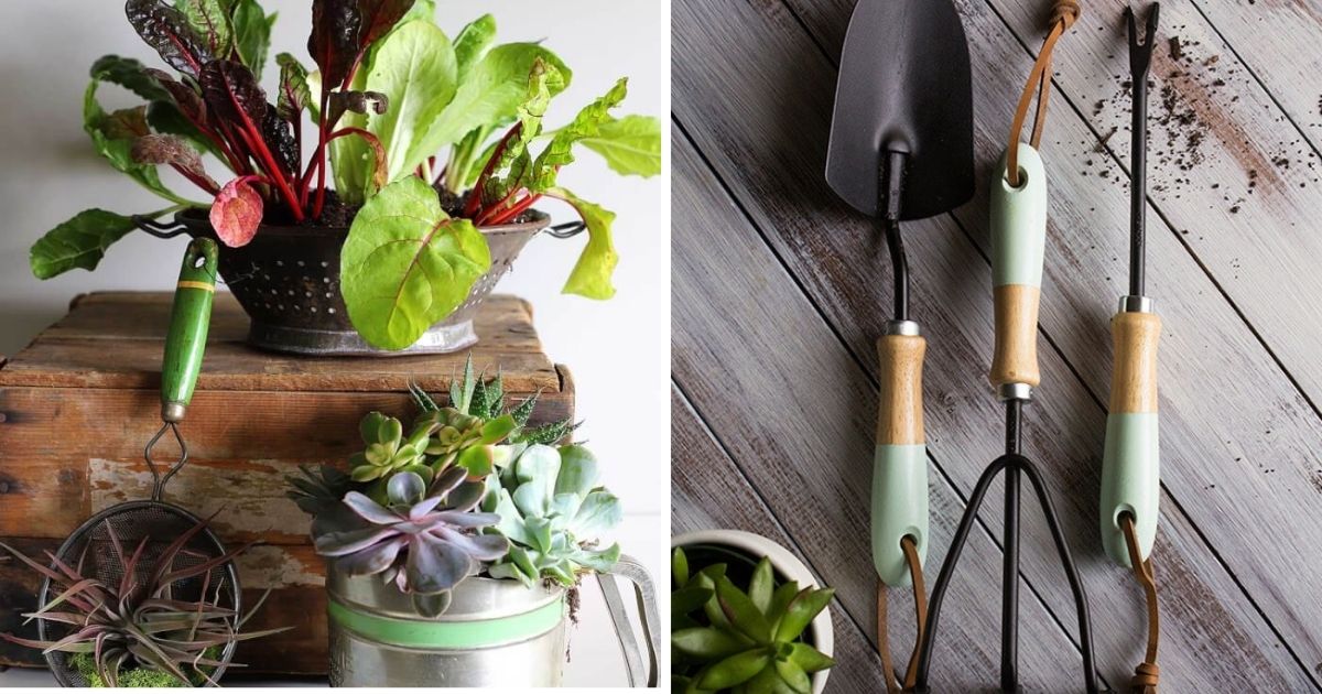 16 Useful Household Items For Your Garden Work