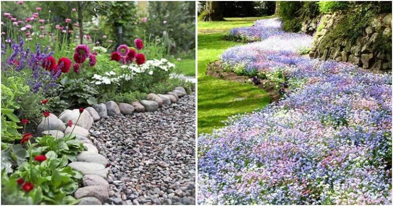 Stunning Border Garden Ideas
